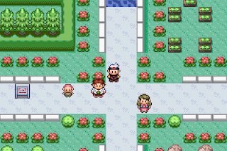 Pokemon School